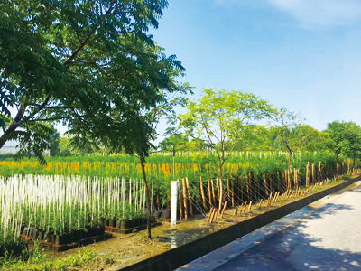 上海市林木种子生产经营许可证的管理研究及农副产品销售协同发展