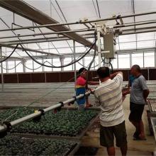 广西钦州市青龙山庄英美苗木基地 育苗用品与农副产品的专业供应商